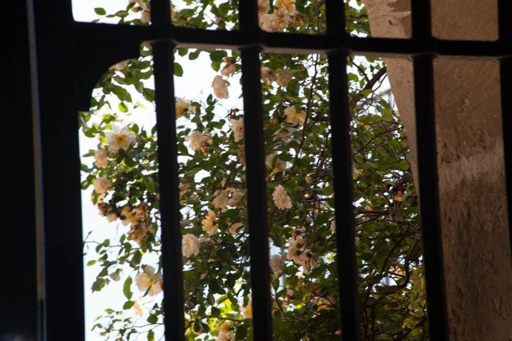 לינה וארוחת בוקר גריניאן La Maison Du Marquis מראה חיצוני תמונה